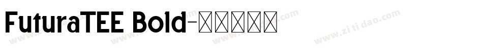FuturaTEE Bold字体转换